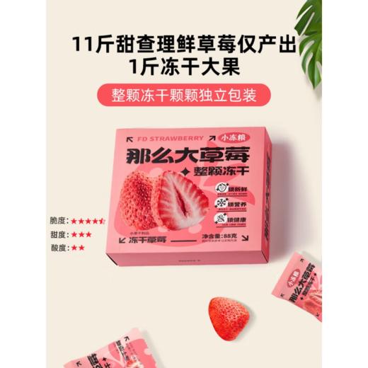 小冻粮那么大冻干草莓88g 商品图2