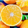 【爱媛果冻橙5斤】| 果肉嫩如果冻，鲜嫩爆汁，可以吸的天然鲜橙，肉厚无渣，能徒手榨汁的果冻橙 商品缩略图1