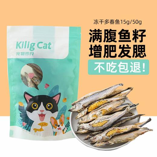 KiligCat冻干多春鱼\磷虾15g/50g宠物零食 无添加批发代发 商品图0
