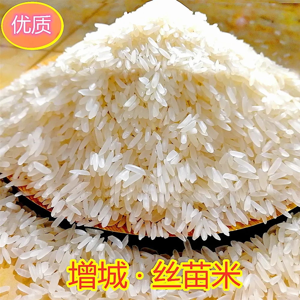 增城丝苗米5公斤 广东省包邮