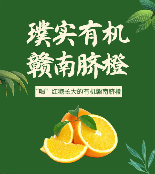 赣南有机脐橙6斤（70-79mm） (有机水果、中国有机认证、国家地理标产品,富硒产品）11月18号发货 商品图1