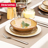 捷克进口tescoma LIVING系列进口家用陶瓷碗创意清新饭碗陶瓷碟子海棠青黛牙白系列散件 高级感餐盘长方形菜盘鱼盘牛排 创意欧式餐具 商品缩略图6