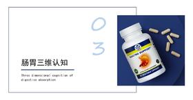 03   肠胃三维认知