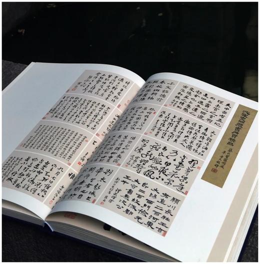 《真花不落—怀硕堂藏沈曾植书法选》，8开，沈曾植著，何华峰主编，西泠印社2022年8月一版一印，386页，红装本1180，蓝装本880元。 商品图9