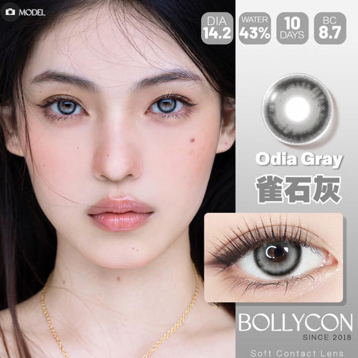 日抛 Bollycon 雀石灰 14.2  黑灰 商品图2