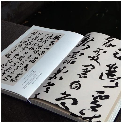 《真花不落—怀硕堂藏沈曾植书法选》，8开，沈曾植著，何华峰主编，西泠印社2022年8月一版一印，386页，红装本1180，蓝装本880元。 商品图11