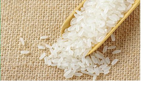 增城丝苗米5公斤 广东省包邮 商品图2