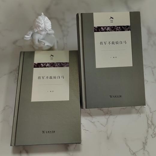 将军不敢骑白马（光启文库） 商品图1