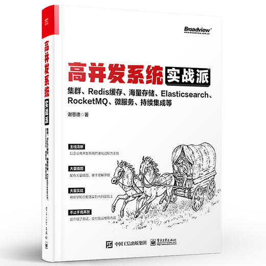高并发系统实战派 集群 Redis缓存 海量存储 Elasticsearch RocketMQ 微服务 持续集成等 企业系统技术框架搭建技术 商品图0
