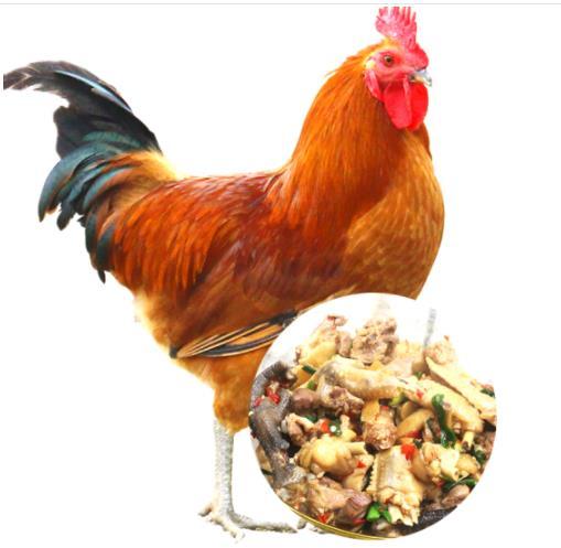 郧阳区青山散养土母鸡1只+土公鸡1只（2只杀完净重共5.7斤左右）  周四发货，需提前预定 商品图2