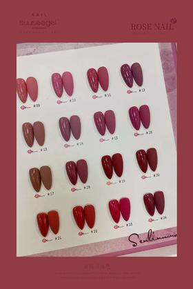 【秒杀价】蔷薇豆沙色24色