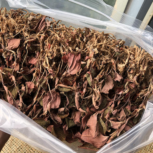 金线莲   特级 商品图0