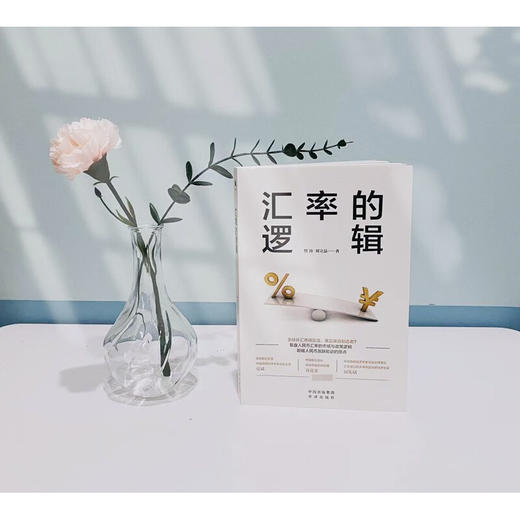 汇率的逻辑 管涛等 著 经济 商品图2