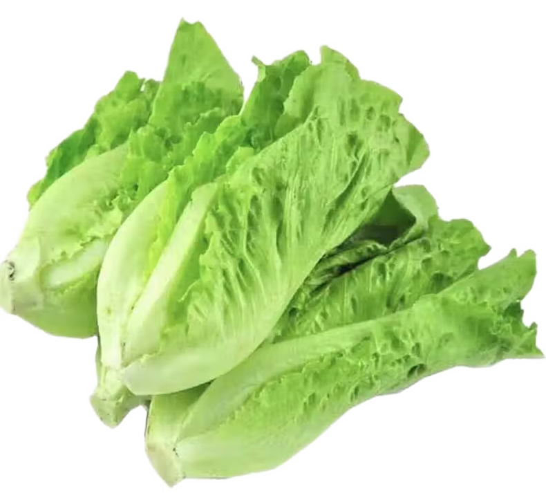 【亚欧超市】生菜500g±50g/份