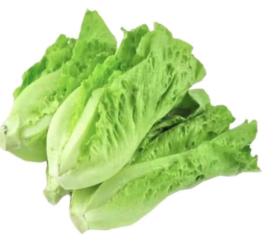 【亚欧超市】生菜500g±50g/份 商品图0