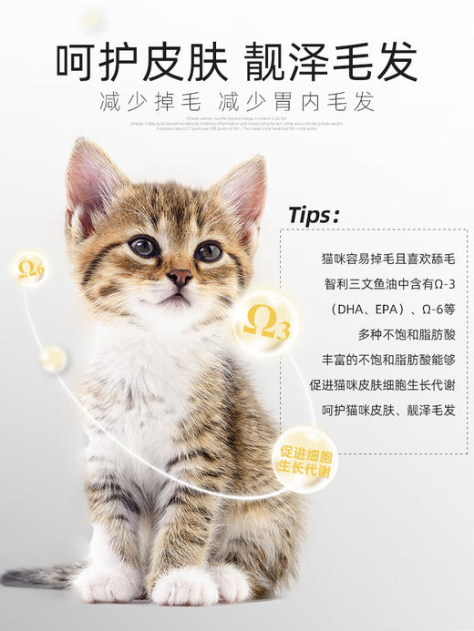 麦富迪三文鱼油猫粮美短英短蓝猫成猫粮高营养天然粮 商品图3