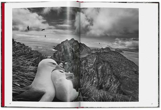 【现货】【TASCHEN】Sebastiao Salgado. GENESIS | 塞巴斯提奥·萨尔加多：创世纪 商品图2