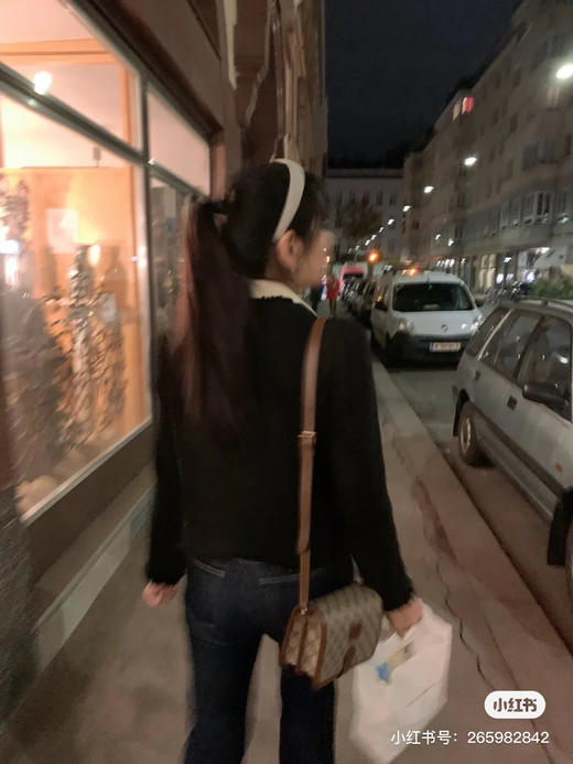 Gucci风琴包 商品图3