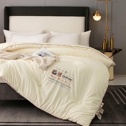 火山岩纤维速热保暖被，蓄热保暖，面料细腻，软糯亲肤 商品图4