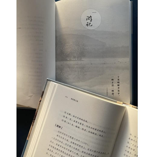 袁枚散文选 (清)袁枚 著 李梦生 选注 商务印书馆 商品图5