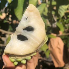 释迦果，甜香软糯，甘甜多汁，水果界的哈根达斯，奶油冰激凌口感