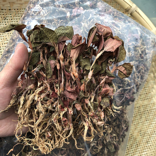 金线莲   特级 商品图1