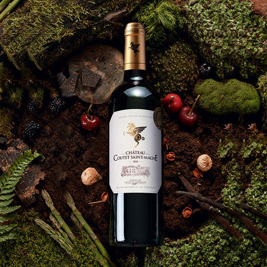 翡马 波尔多进口葡萄酒 圣曼尼干红 14度 750ml 商品图6