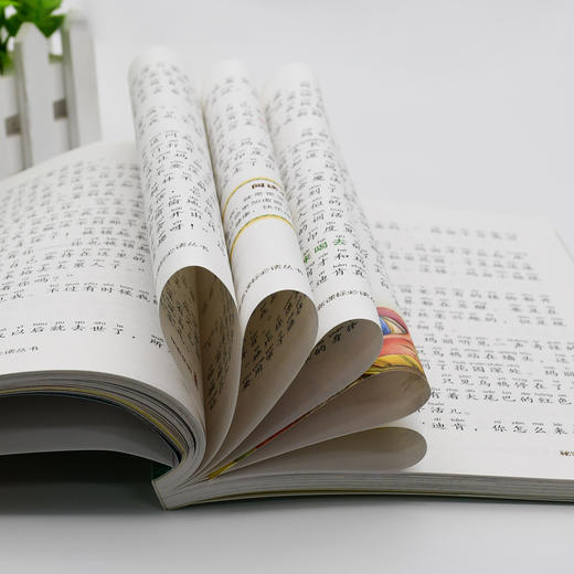 (仓发) 秋螳螂的信（彩色注音版）儿童文学名家精选书系 汇聚金波 沈石溪 常新港 冰波 汤素兰等50多位名家名作/北京教育出版社/常立/9787552294309 商品图2