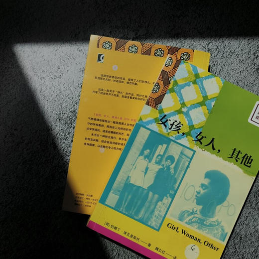 女孩，女人，其他 伯娜丁埃瓦里斯托 著 布克奖获奖作品中文版 十二位女性的冒险人生和她们的勇气与力量 女性主义外国小说书籍 商品图3