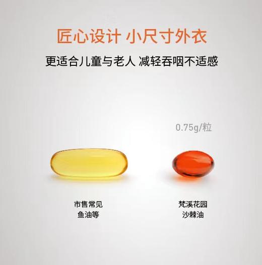 沙棘油（凝胶糖果） 60粒/45g 商品图4