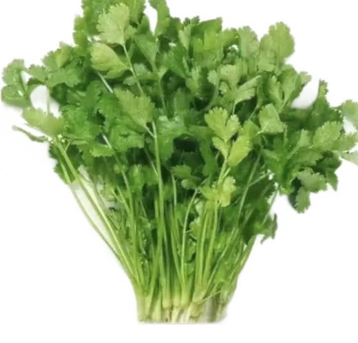 【亚欧超市】香菜100g±10g/份 商品图0