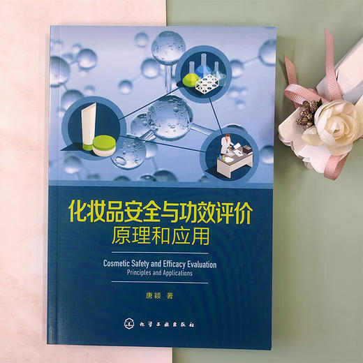 化妆品安全与功效评价:原理和应用 商品图1