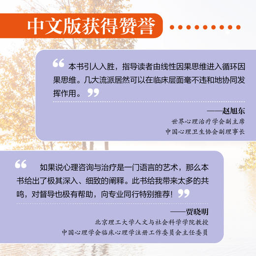 心理*中的对话 对来访者说什么和如何说的艺术 心理疏导书籍心理咨询*心理咨询师心理自助基础入门书籍 商品图2