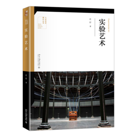 实验艺术 庄纾 北京大学出版社