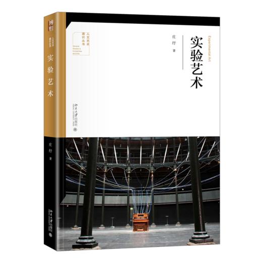 实验艺术 庄纾 北京大学出版社 商品图0