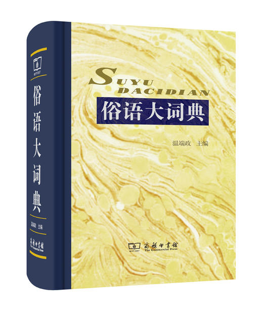 俗语大词典 商品图0