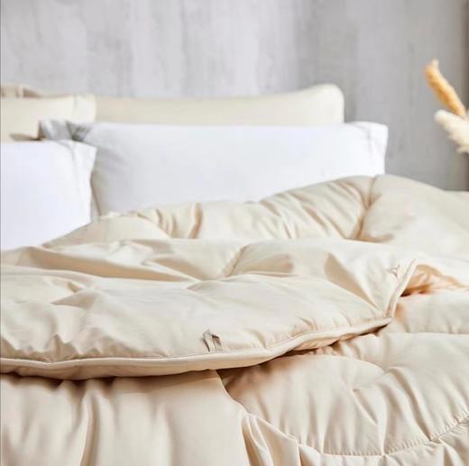 【Luolai罗莱厅】B7F 罗莱澳洲羊毛柔丝被 冬 200*230净重1700克 商品图0