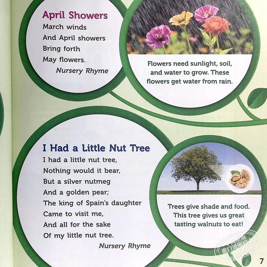 【中商原版】美国HMH Into Reading Student myBook Softcover Set Grade 1 小学语言艺术阅读学生书一年级 商品图4