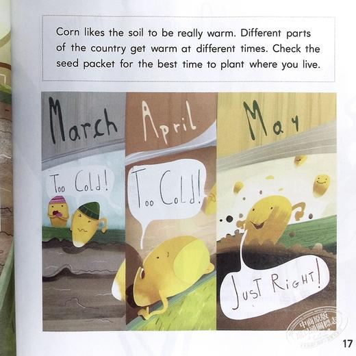 【中商原版】美国HMH Into Reading Student myBook Softcover Set Grade 1 小学语言艺术阅读学生书一年级 商品图6