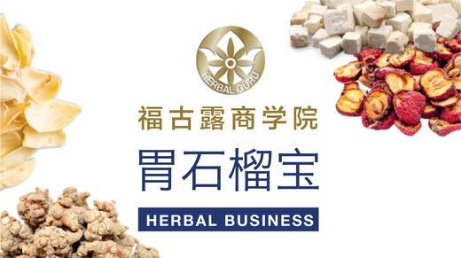 福古露商学院之胃石榴宝 商品图0