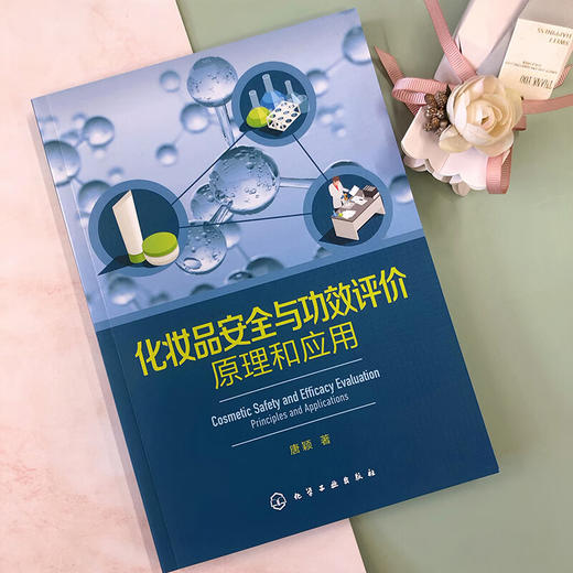 化妆品安全与功效评价:原理和应用 商品图2