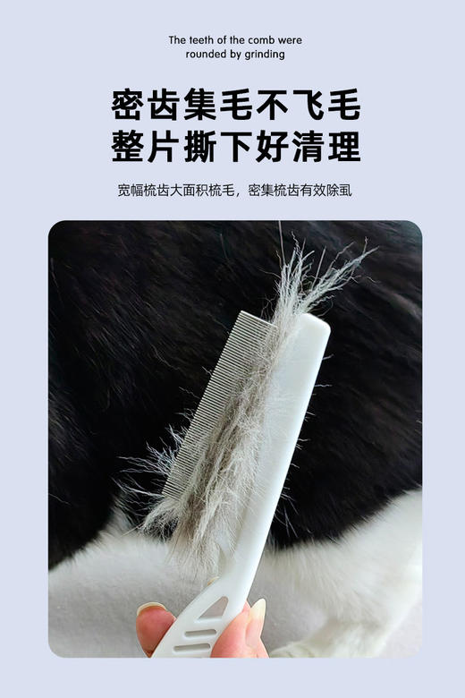 宠物迷你小面梳+祛虱梳 除跳骚 去除浮毛废毛 犬猫通用 商品图5