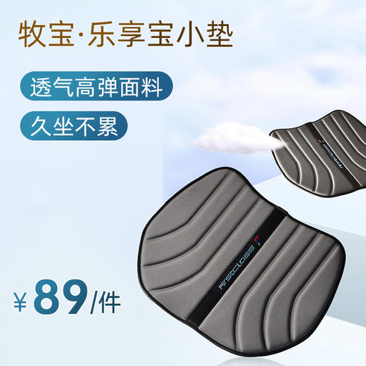 牧宝乐享宝小垫 WJP2010 四季通用 无靠背免绑 汽车坐垫单片 家车两用 商品图0