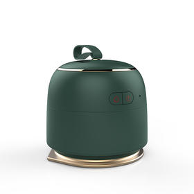 Aipower 便携式电熨斗