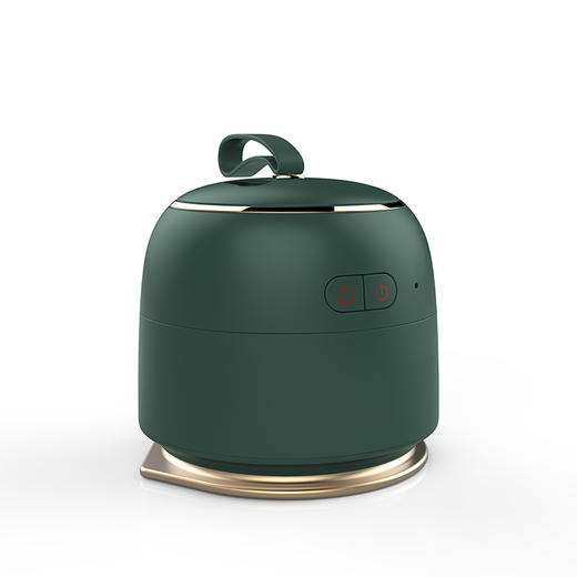 Aipower 便携式电熨斗 商品图0