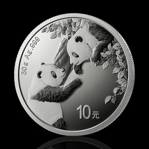 2023熊猫30克银币 商品图0