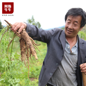 【品质精选】阿斯牛牛凉山新鲜甜当归3斤/5斤装