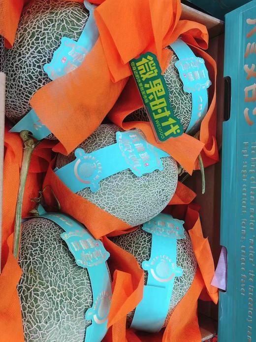 玫珑蜜瓜一个（拼团） 商品图0