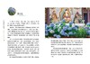 街巷里的四季：成都草木寻踪（自然感悟丛书） 商品缩略图1