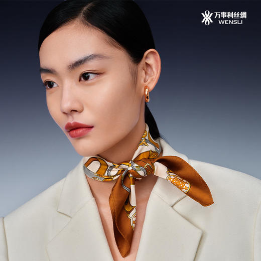 WENSLI/万事利 双面印花小方巾-光辉时分 商品图2